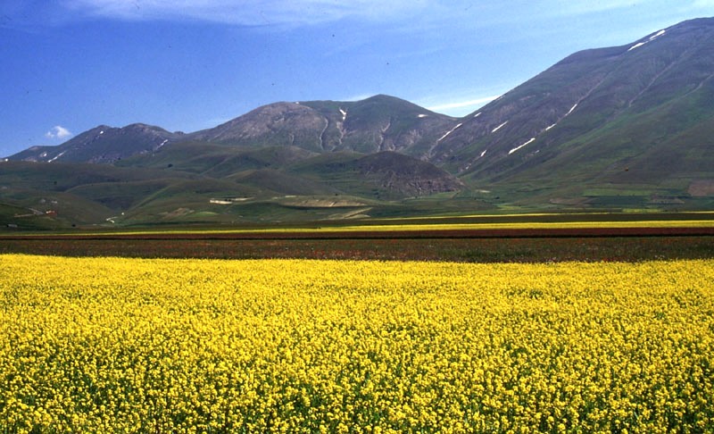 Per restare in tema....